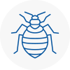 Bed Bug Extermination In Newport Pagnell