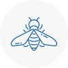 Bee Nest Removal Newport Pagnell