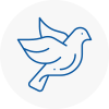 Bird Prevention Newport Pagnell