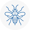 Newport Pagnell Hornet Nest Removals
