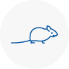Mice Exterminators In Newport Pagnell