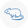 Rat Control Newport Pagnell