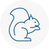 Newport Pagnell Rodent Removals